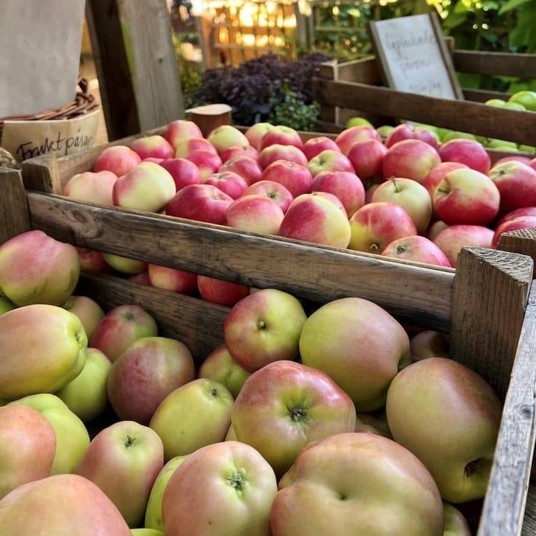 image of Kivik Cider factory
