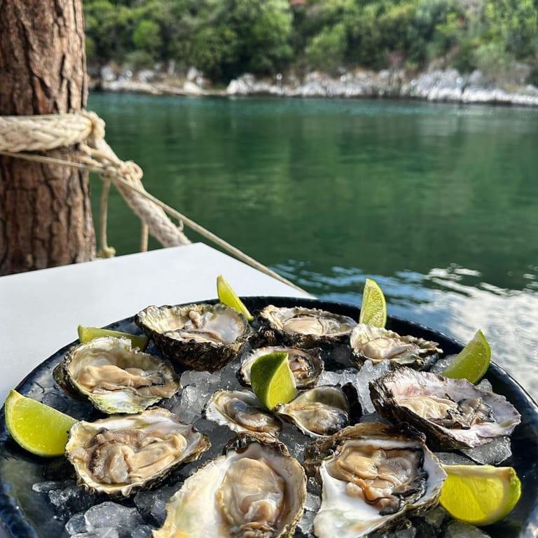 image of The Mussel House