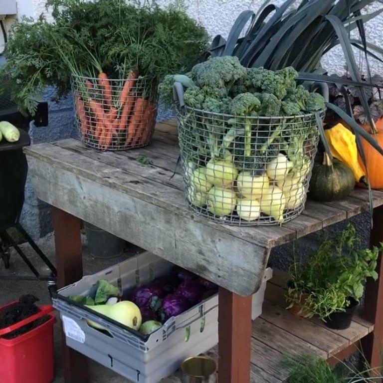 image of Krakas krog