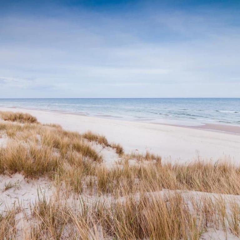 Image of the location Sandhammaren