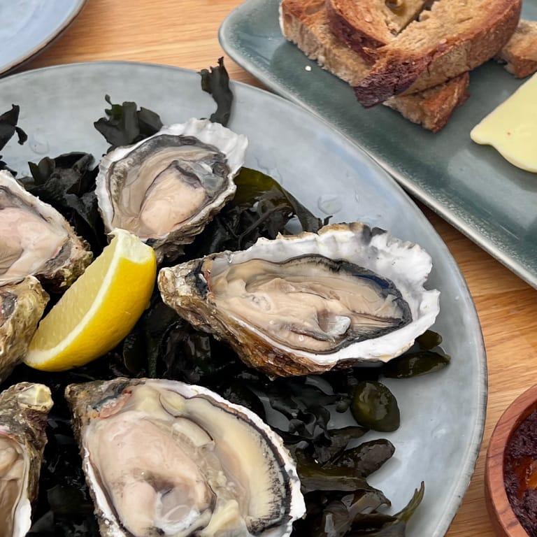 image of Restaurant Le Safranier