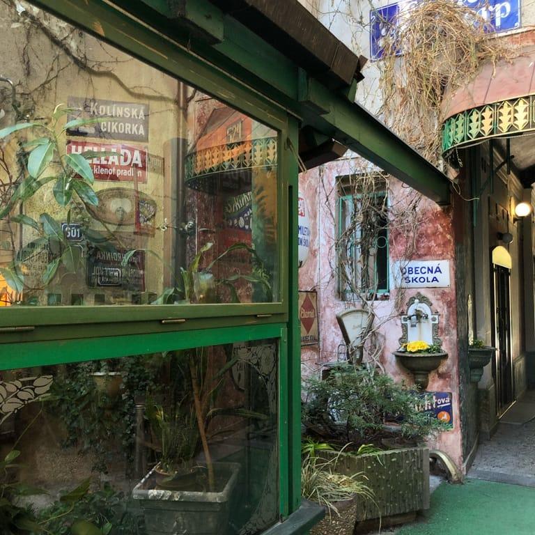 image of Cafe Bajer "In the yard"