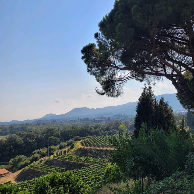 Image of the location Agriturismo Tenuta San Michele - Etna