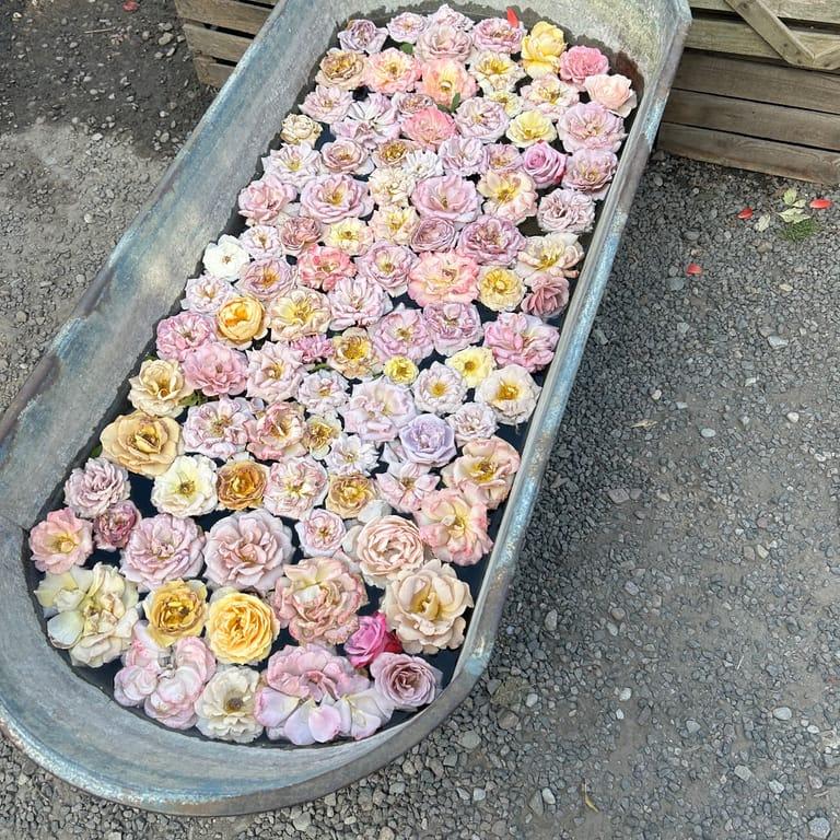 Image of the location Karl Fredrik på Eklaholm