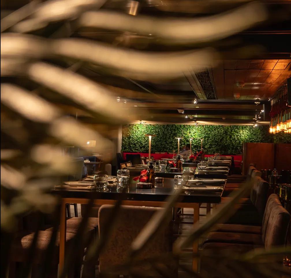 image of SACHI Heliopolis